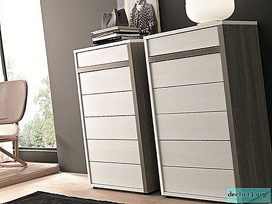 Options for modern chests of drawers, selection rules