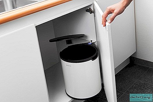 Možnosti za kuhinjske omare za pranje, njihove prednosti in slabosti