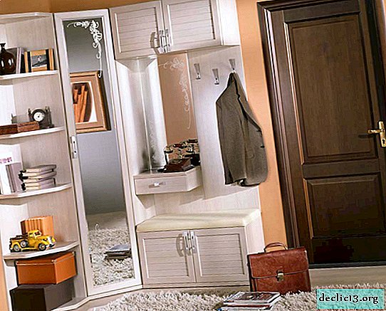 Options for corner cabinets for the hallway, photo models