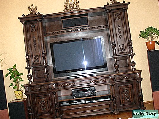 Types of furniture for TV, designs in the living room