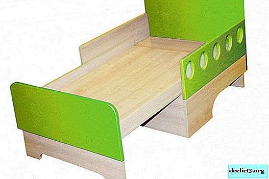 All kinds of sliding beds for children and adults, nuances of design