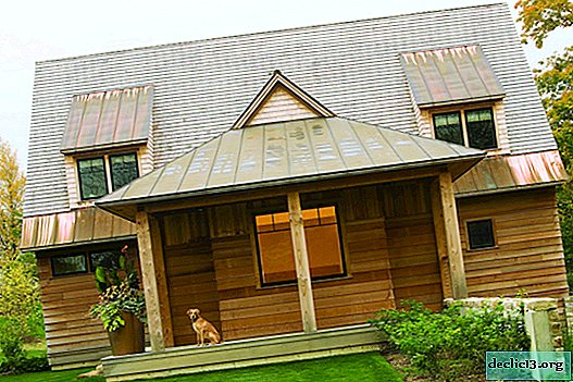 100 Idea Reka Bentuk Terbaik Bumbung Rumah Persendirian Dalam Foto Pedalaman
