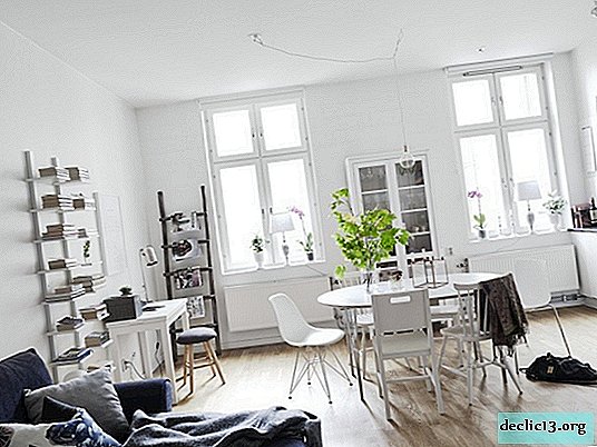 100 ideas with photos for decorating a studio apartment