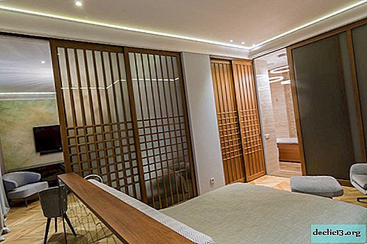 تصميم شقة من غرفتين: 100 أفضل التصميمات الداخلية لعام 2018