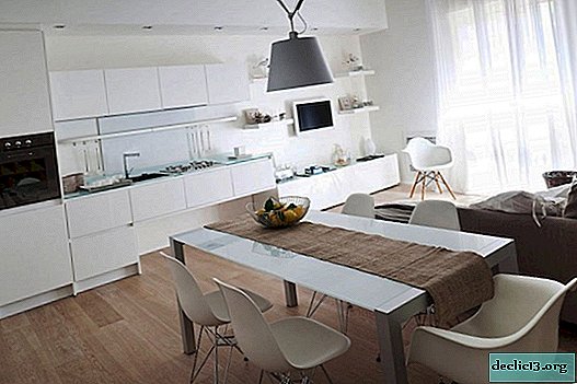 100 idéias aconchegantes para um grande espaço: cozinha, sala de 25 metros quadrados. m
