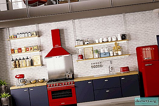 Retro hűtőszekrény a konyha belsejében: Több mint 100 fénykép eredeti modellből, különleges kialakítás érdekében