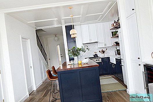 Cozinha 11 sq. m: layouts elegantes e mais convenientes em exemplos de fotos
