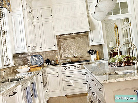 Mutfak 14 metrekare. m: modern apartman ve evlerde iç mekanlar için popüler seçenekler