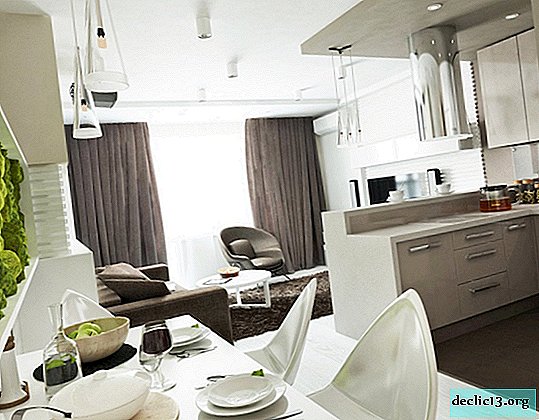 Moderne woonkamer met kitchenette: ideeën voor een rationeel ruimtegebruik van 15 vierkante meter. m