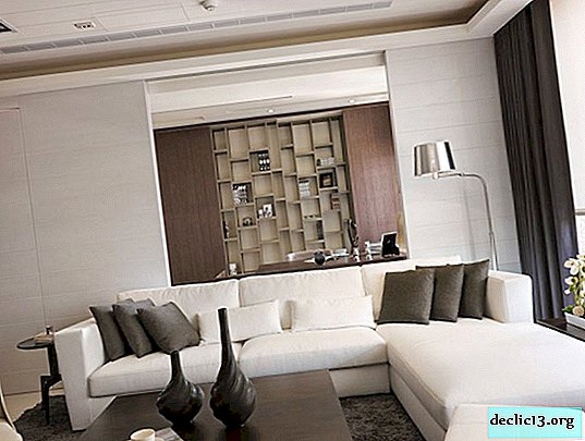 Living room 15-16 square meters: original interior in a small area