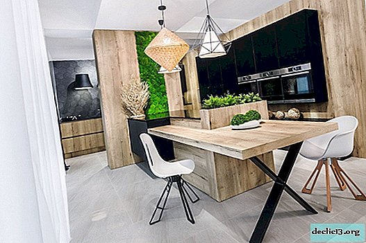 Virtuvė 17 kv. m: 100 sėkmingo kambario interjero dizaino projektų nuotraukų
