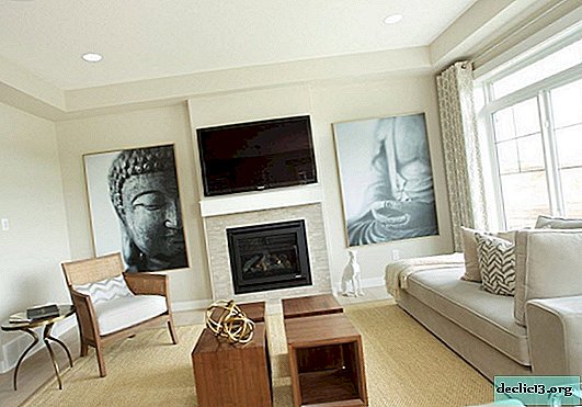 Disposición de una sala de estar con un área de 18-20 metros cuadrados en el cómodo centro de la casa.