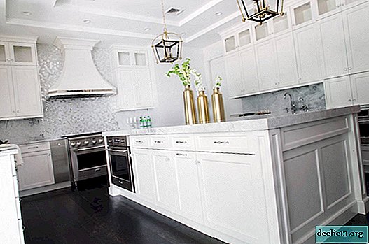 Mutfak 18 m2: herhangi bir tasarım fikrinin uygulanması için geniş iç mekan örnekleri