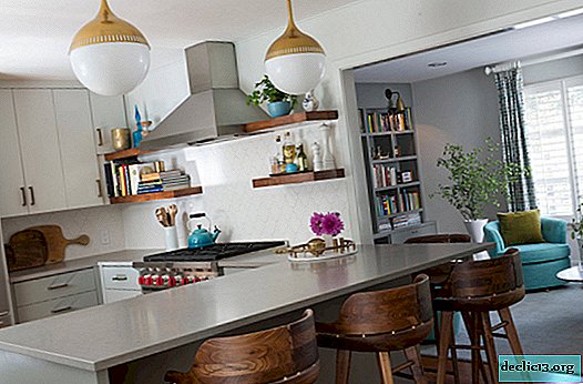 Küche kombiniert mit Wohnzimmer - die Nuancen der Dekoration 2019