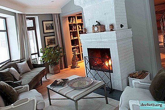 Fireplace in the living room: stylish design decisions 2019