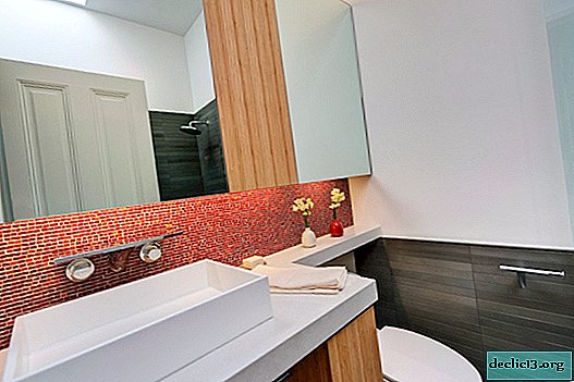 Nelielas vannas istabas dizains 2019. gadā