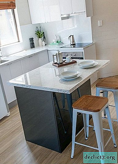 Wir statten die Küche mit einer Fläche von 9 Quadratmetern aus. m. mit maximaler Praktikabilität