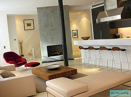 Bar in soggiorno: design moderno della stanza in molte idee