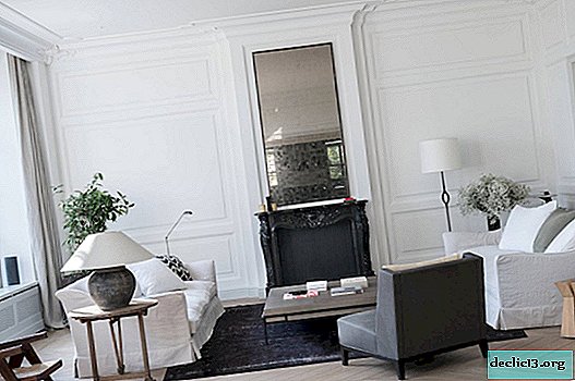 Salon blanc: photo des nouveautés de la décoration de styles différents