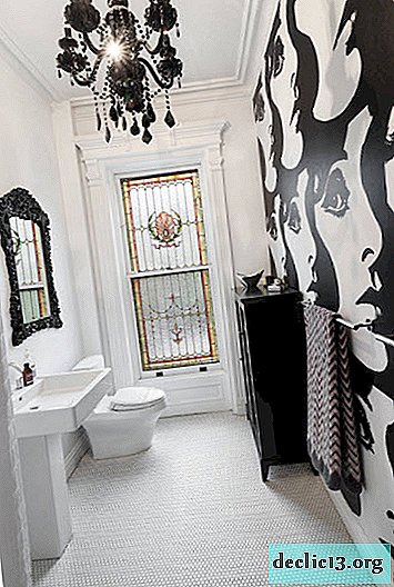 ห้องน้ำสีดำและสีขาว: รายละเอียดปลีกย่อยการออกแบบ