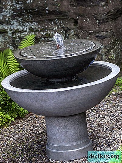 Country fountain: a variety of ideas