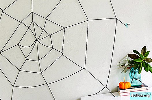 Do-it-yourself decorative web - Ideas