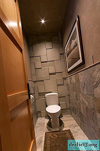 Small Toilet Design: Rational Aesthetics