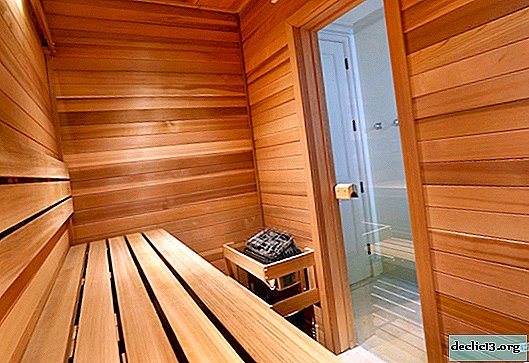 Design projects of saunas and baths - we consider novelties