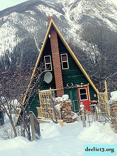 Casa-cabana - uma versão original de um prédio suburbano e uma alternativa incomum às casas de campo comuns