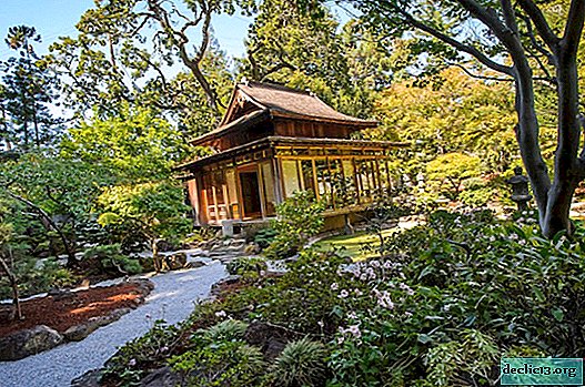 Hiše v japonskem slogu: mirnost in jedrnatost
