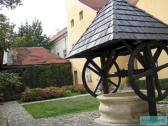 Well house: interesting ideas for decorating a decorative and functional well for the garden