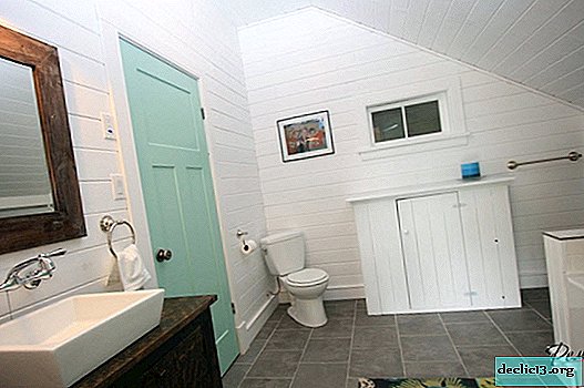 Doors in the bathroom - your selection criteria