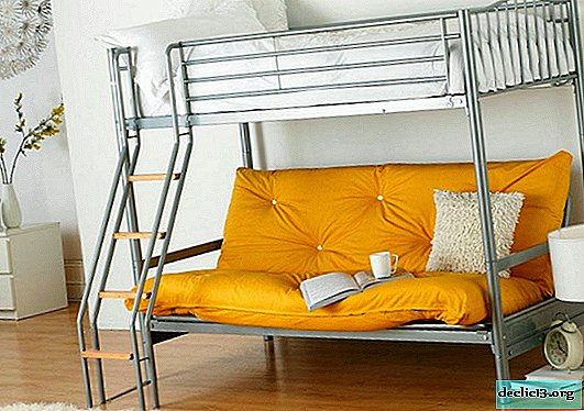 Bunk Bed with Sofa