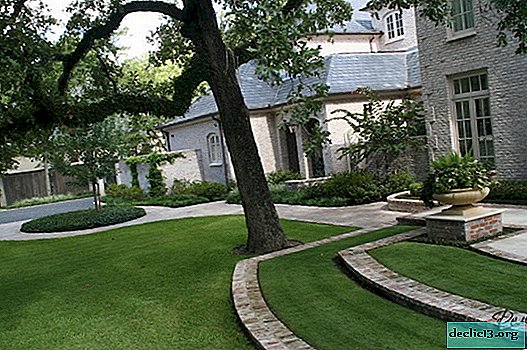 Lawns in landscape design: the best is not the enemy of the good!
