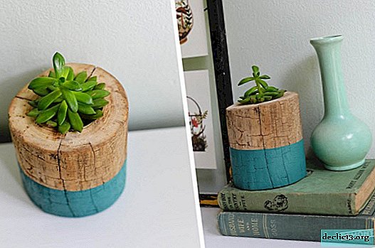 DIY flower pot from a tree trunk