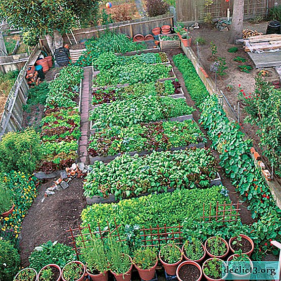 Ideas para el jardin en el campo