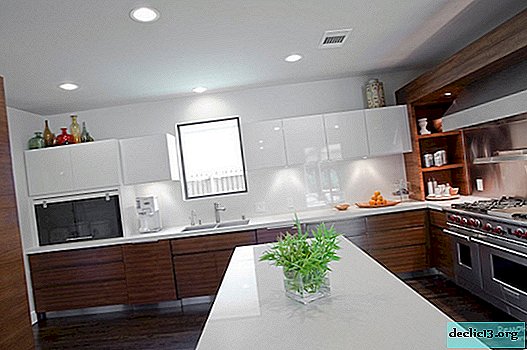 Brown kitchen interior - the choice of confident people