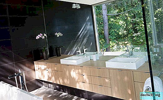 Tile for the bathroom: design ideas