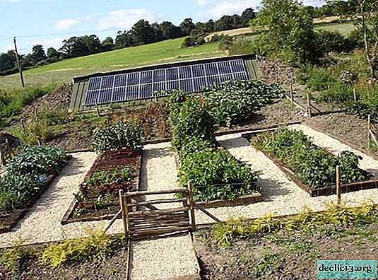 How to arrange beds in the country and grow a good harvest