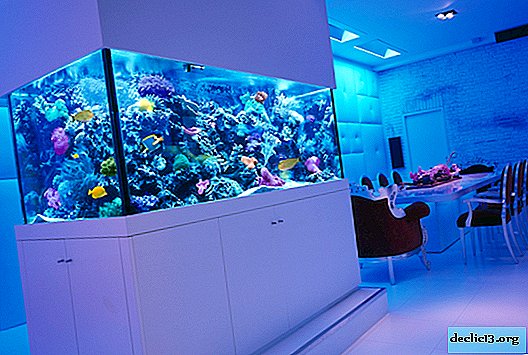 Comment faire un aquarium avec ses propres mains? Master classes pas à pas et directives de conception