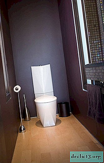 Vad är en toalett, hur man väljer och installerar den korrekt