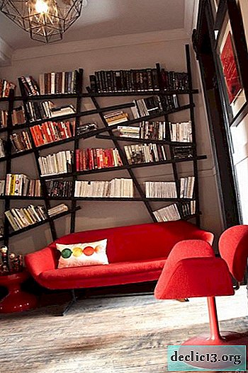 Beautiful and unusual bookshelves in the interior