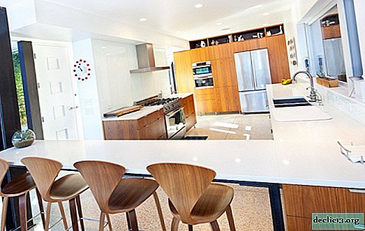Kuhinja-dnevna soba s šankom: fotografije notranjosti v različni tematski zasnovi