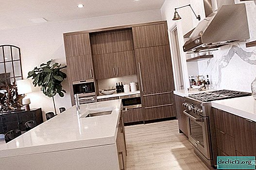 Bucătărie-living într-o casă privată - o mie de funcții într-o cameră