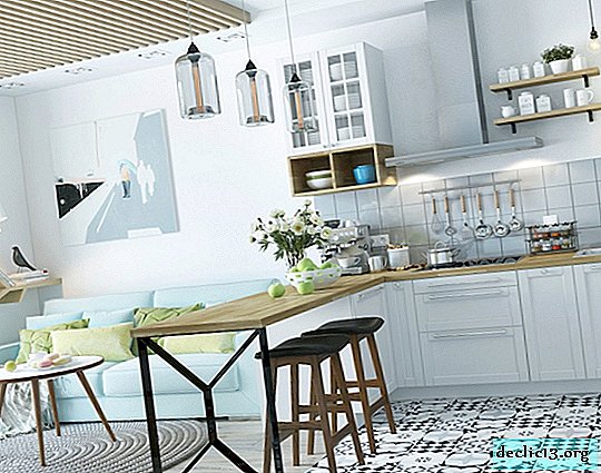 Kuhinja v skandinavskem slogu: lepa dekoracija, izbor pohištva in dekorja