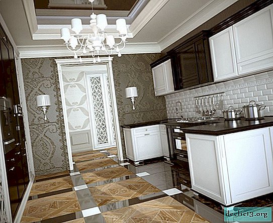 Kitchen in the style of art deco: options for design, decoration and decoration