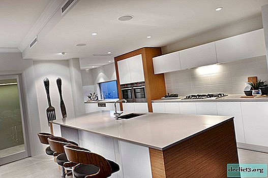Bauhaus style kitchen: interesting design solutions and useful tips