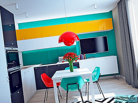 Kitsch style kitchen: bold interior design solutions for photo ideas