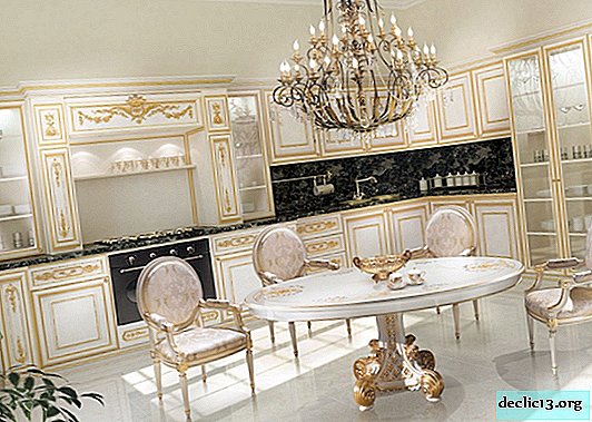 Kuhinja v slogu rokokoja: luksuzna notranjost palače na fotografiji