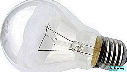 Bulbs: types of bulbs and types of socles